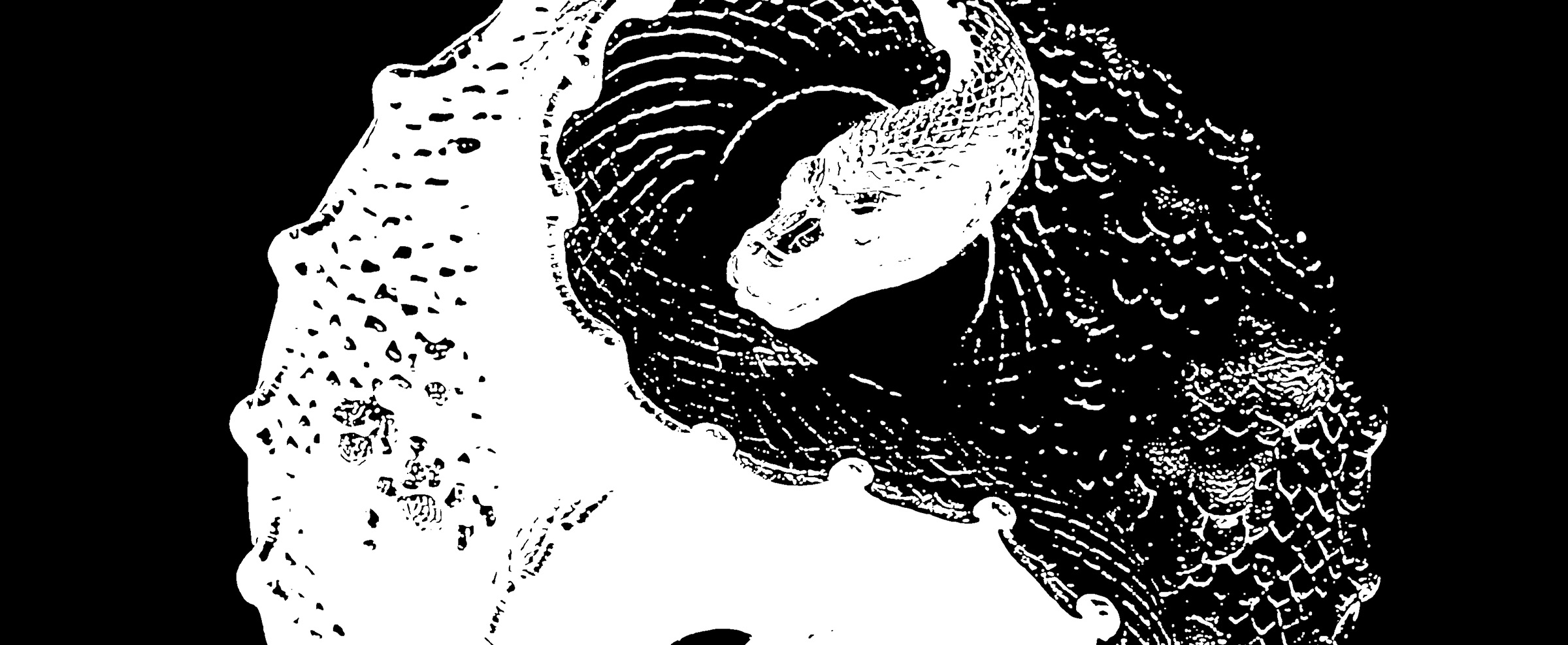 Order-and- Chaos-cover