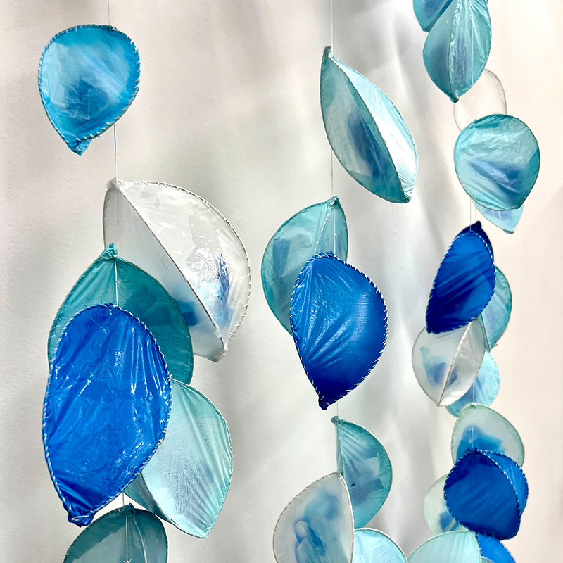 Sea-life-2