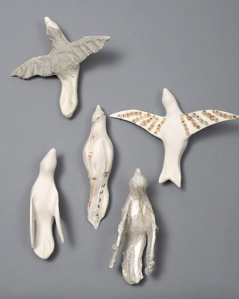birds