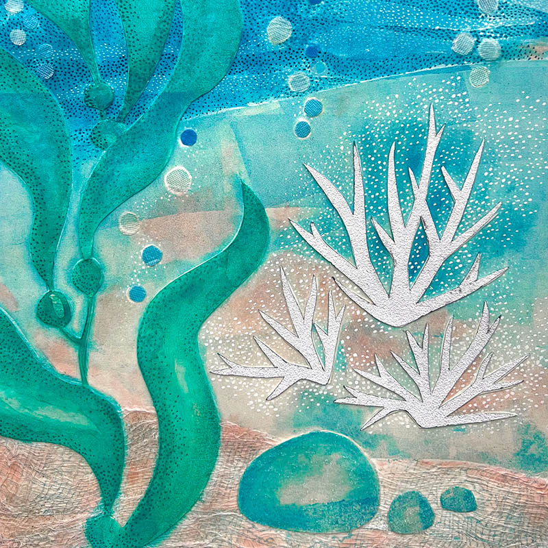 where-corals-lie-2