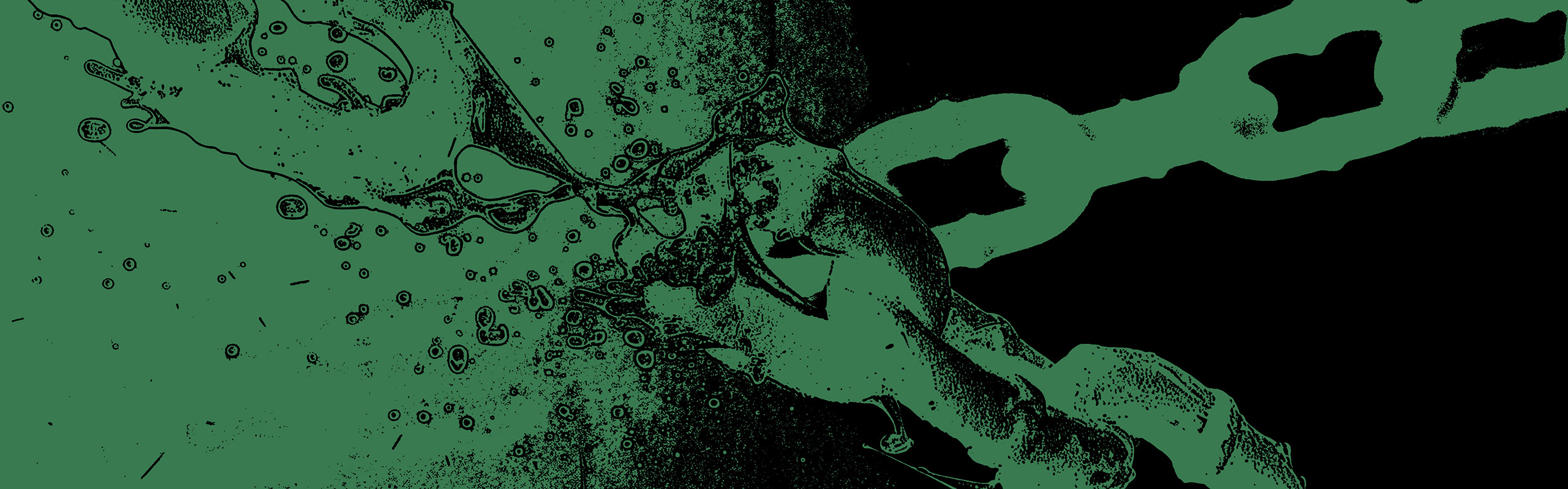 Liberdade-banner-1